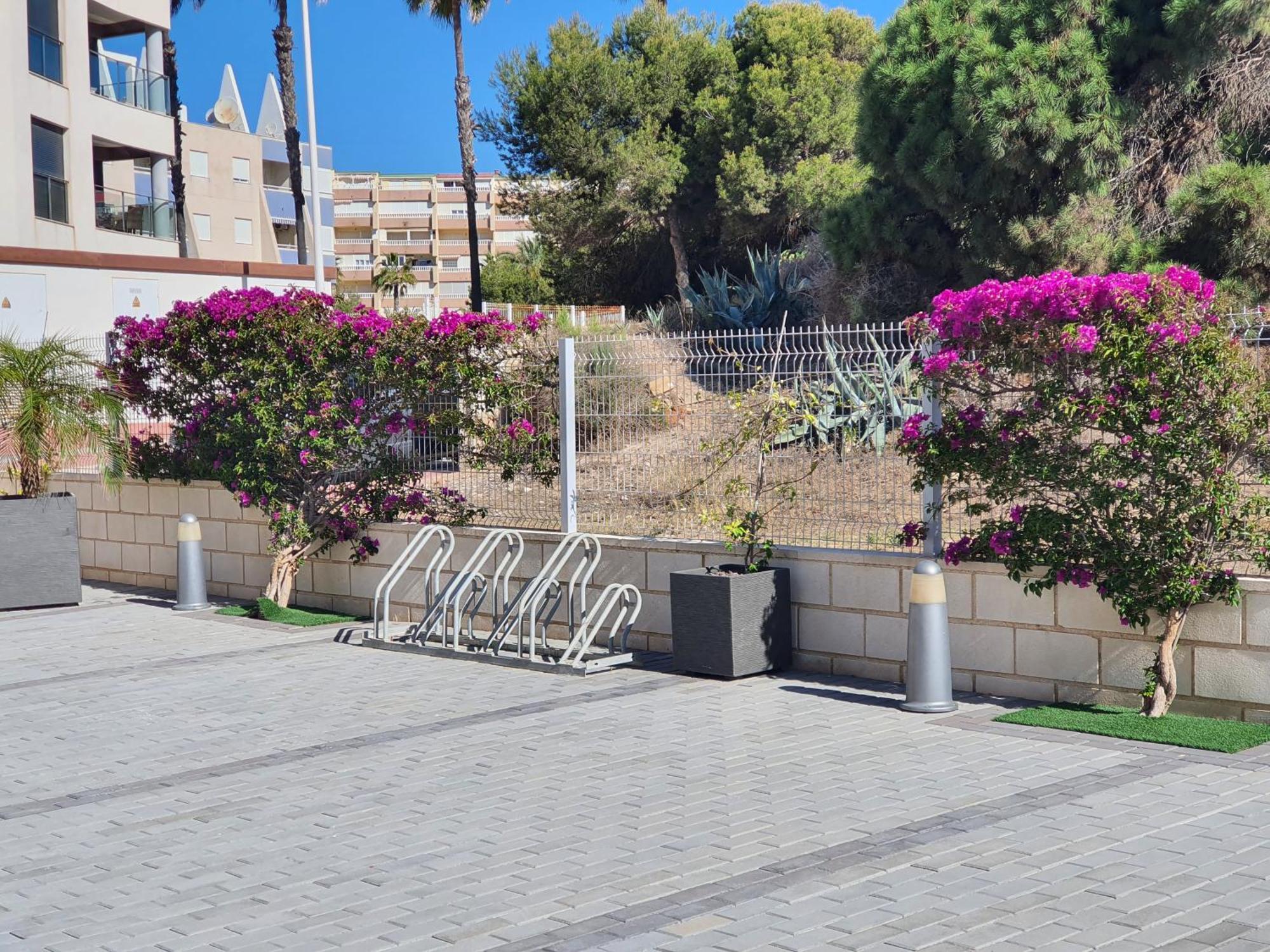Al048 Pinada Beach IV La Mata La Mata  Ngoại thất bức ảnh