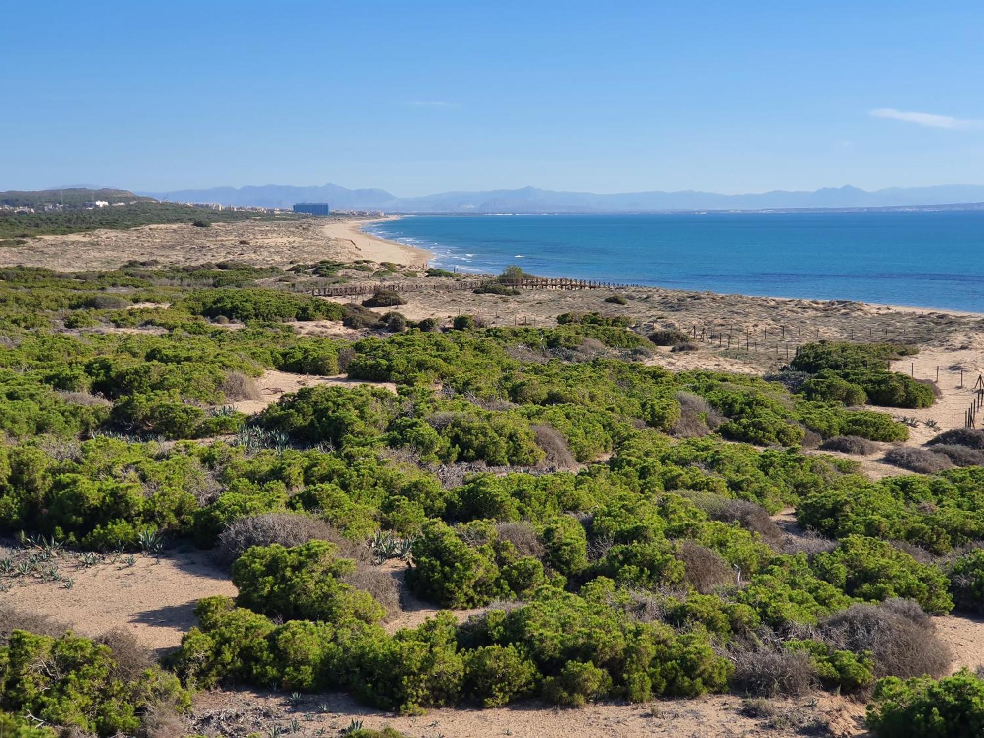 Al048 Pinada Beach IV La Mata La Mata  Ngoại thất bức ảnh